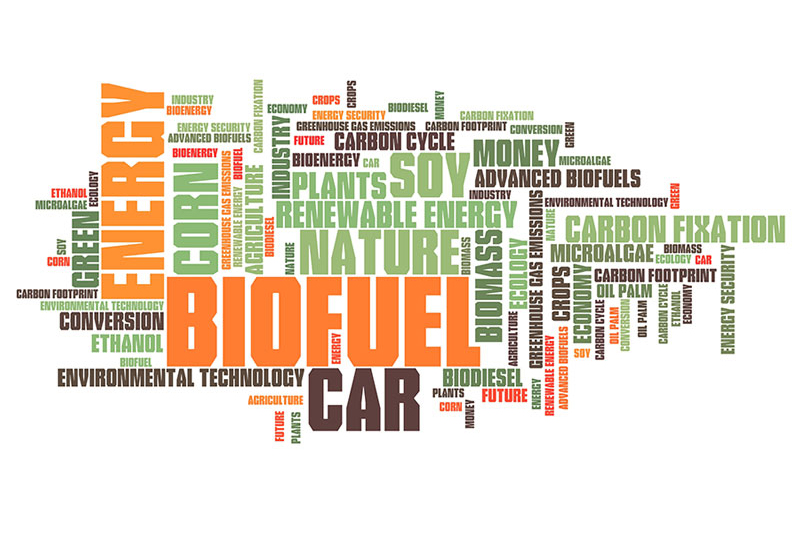 biofueld b5 or b20